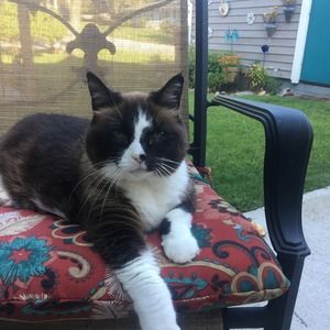 Meet your Posher, Sharon